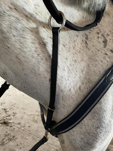 Collier de chasse