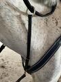Collier de chasse