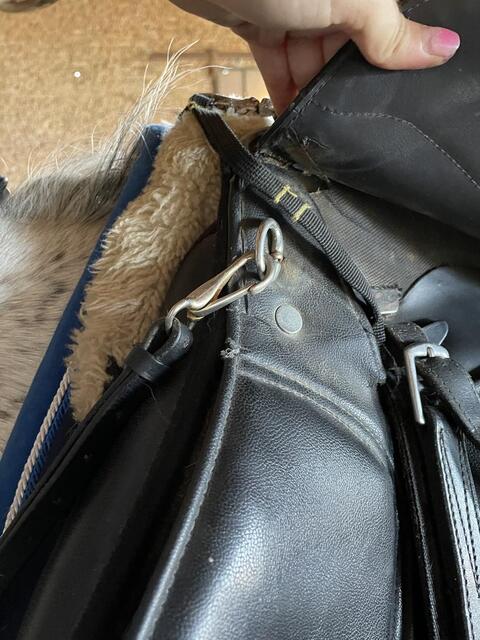 Collier de chasse