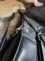 Collier de chasse