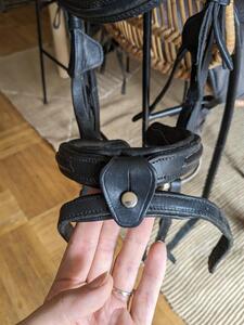 Filet cuir noir taille cob