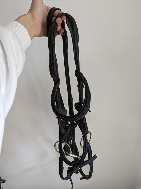 Filet cuir noir taille cob