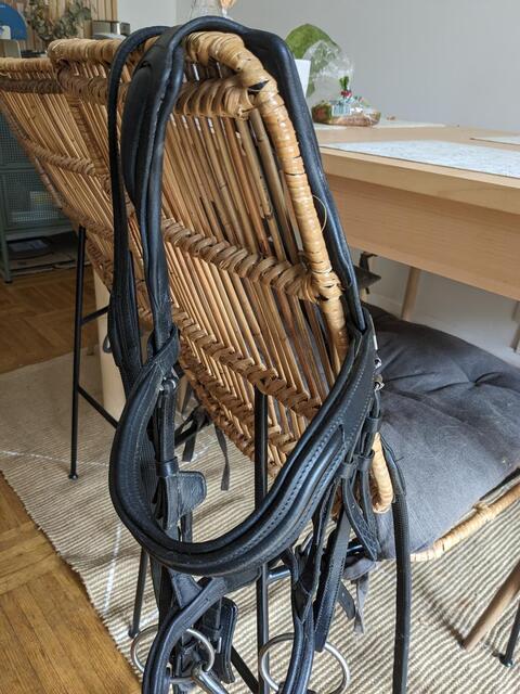 Filet cuir noir taille cob