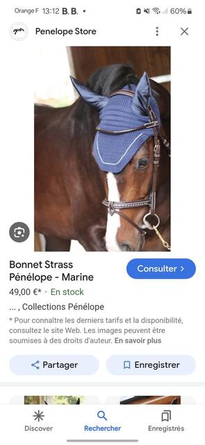 Bonnet penelope