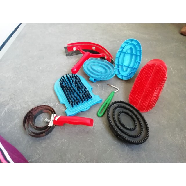 Lot de brosses désinfectées