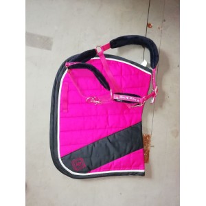 Ensemble tapis + licol