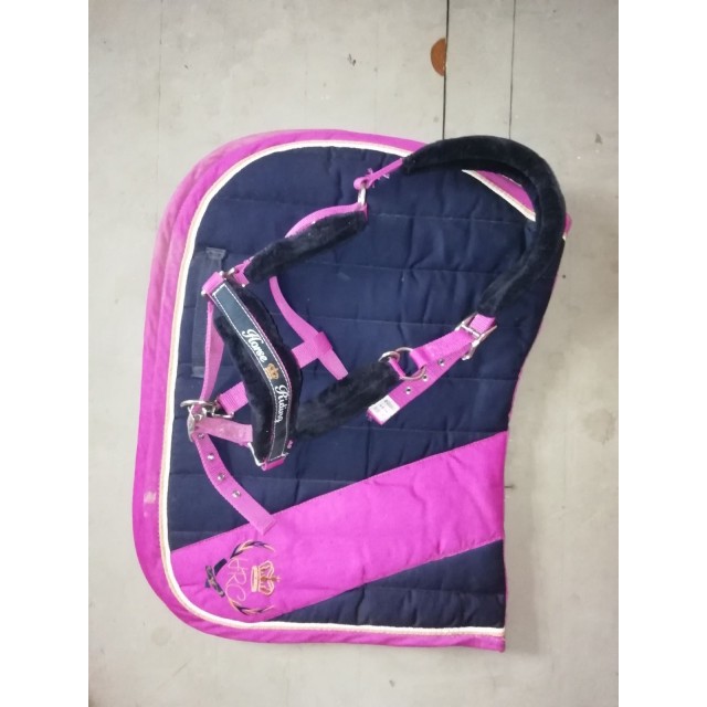 Ensemble tapis + licol