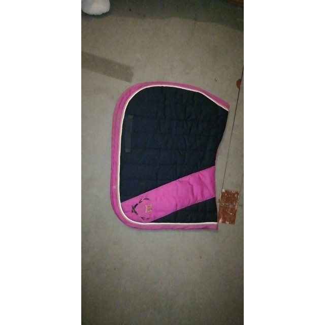 Ensemble tapis + licol