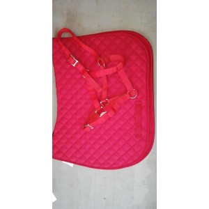 Ensemble tapis + licol