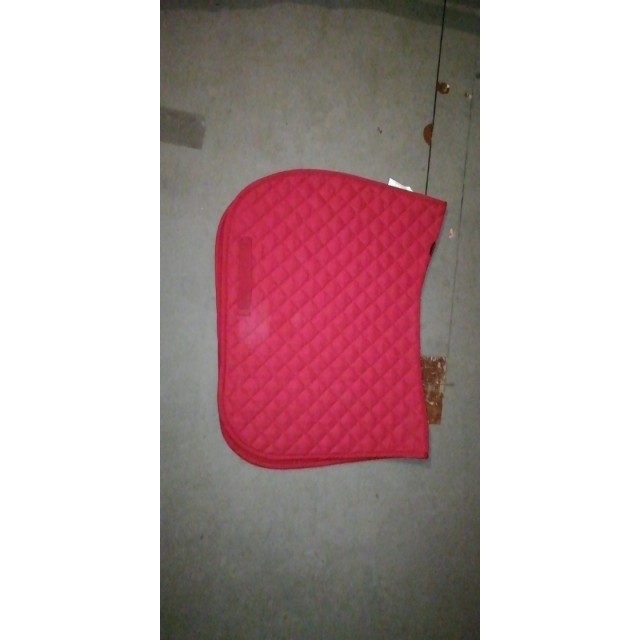 Ensemble tapis + licol