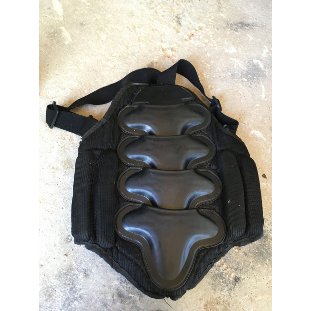 Dorsale de protection