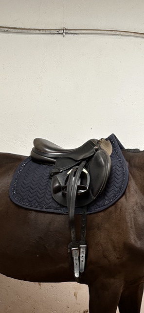 Selle Equipe 16,5 avec sa bavette 60cm