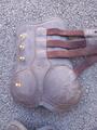 Ensemble guêtres et protège-boulets Jumptec marron taille S