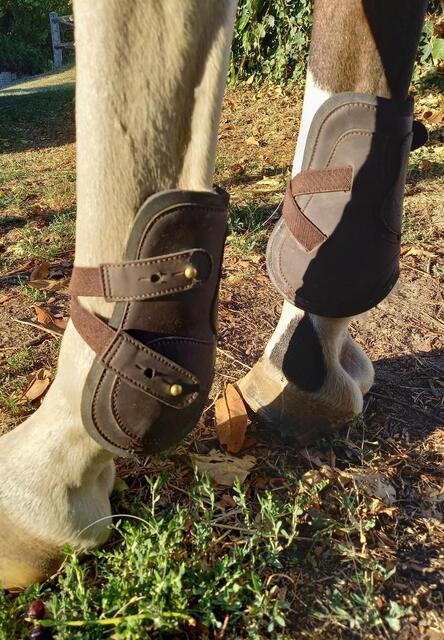 Ensemble guêtres et protège-boulets Jumptec marron taille S