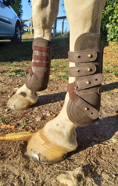 Ensemble guêtres et protège-boulets Jumptec marron taille S