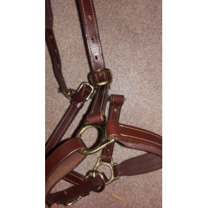 licol en cuir marron