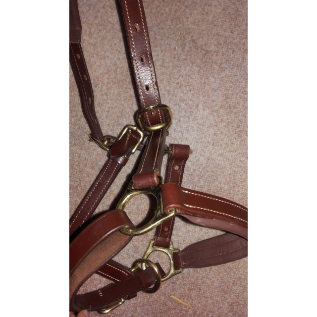 licol en cuir marron