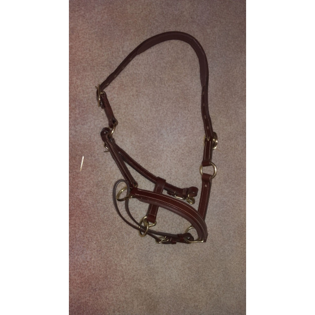 licol en cuir marron