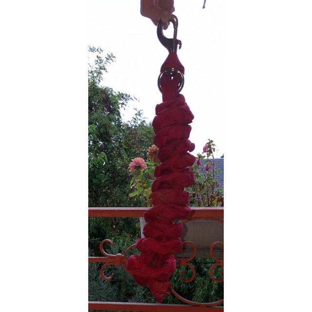 Licol rouge