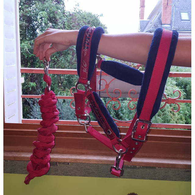 Licol rouge