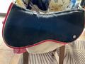 Amortisseur Ogilvy noir et rouge