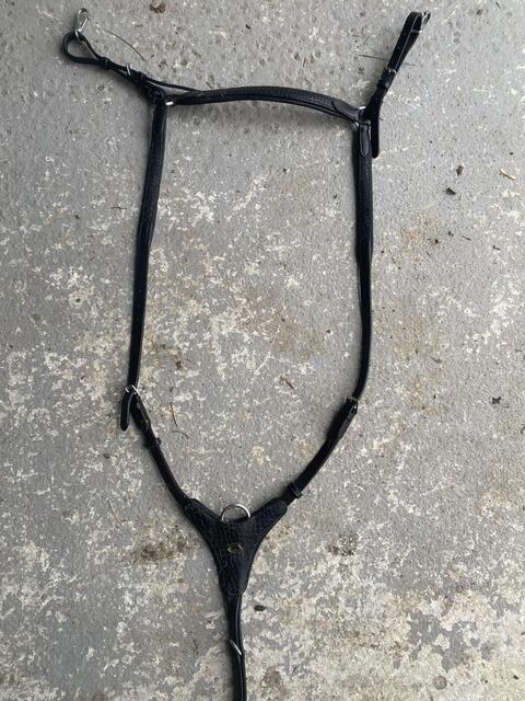 Collier de chasse + martingale