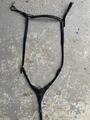 Collier de chasse + martingale