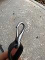 Collier de chasse + martingale