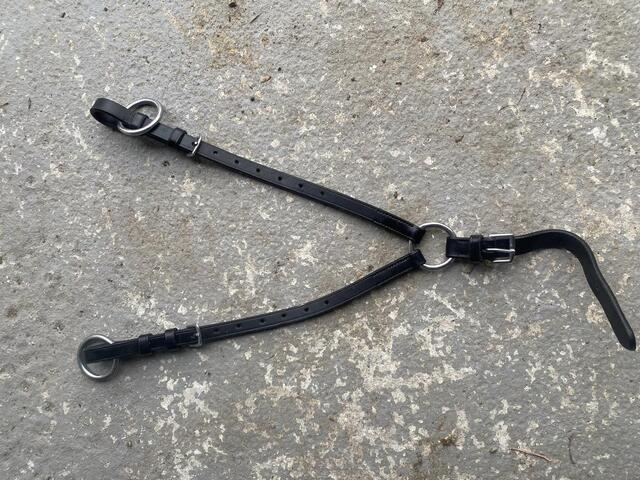 Collier de chasse + martingale