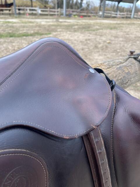 Selle mixte/CSO Antarès