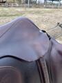 Selle mixte/CSO Antarès