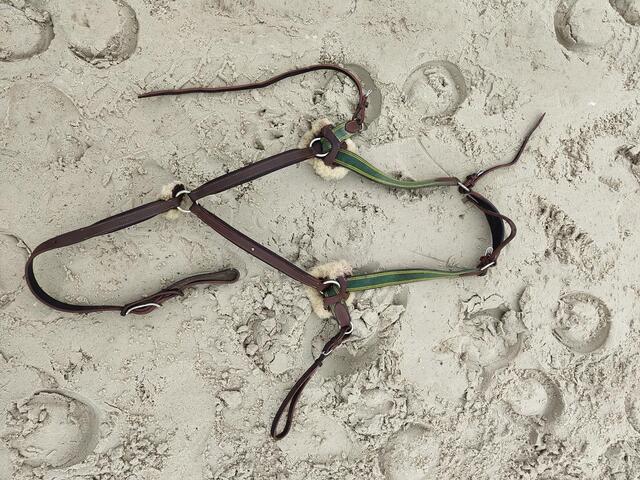 Collier de chasse Devoucoux