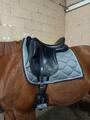 Selle dressage Aulion