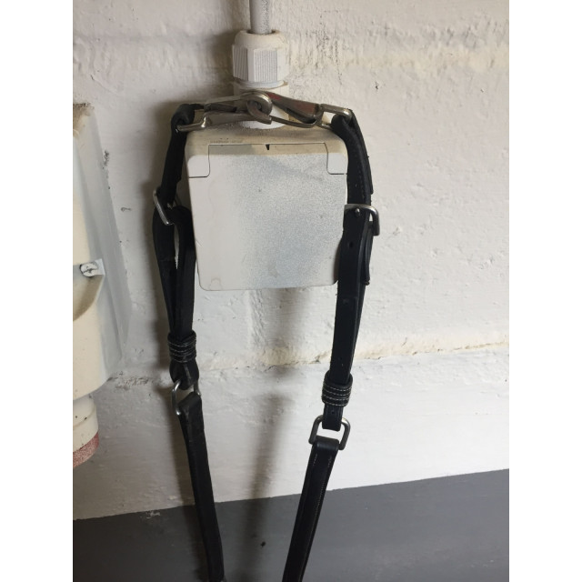 Collier de chasse HG