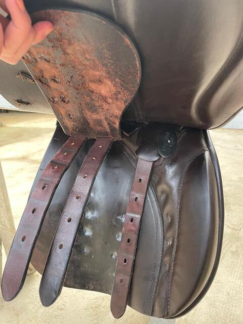 Selle EuroRiding Jade VS