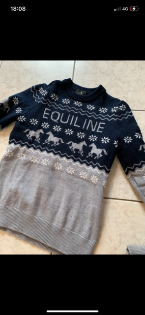 Sweat Equiline