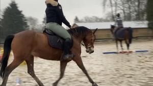 Pantalon Horse Pilot X-balance