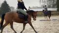 Pantalon Horse Pilot X-balance