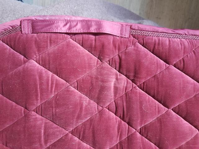 Tapis dressage eskadron bordeaux