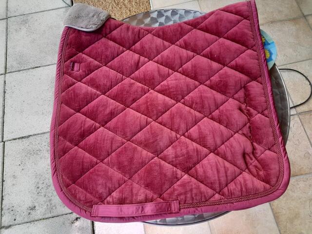 Tapis dressage eskadron bordeaux