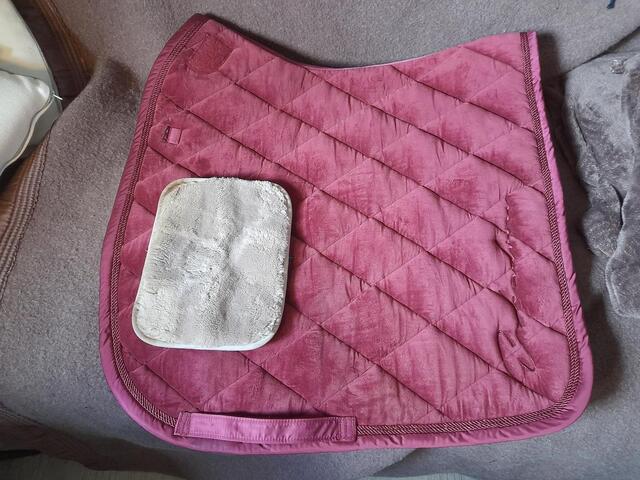 Tapis dressage eskadron bordeaux