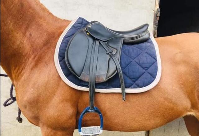 Selle mixte