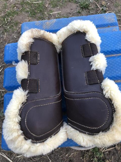 protections cuir Kentucky