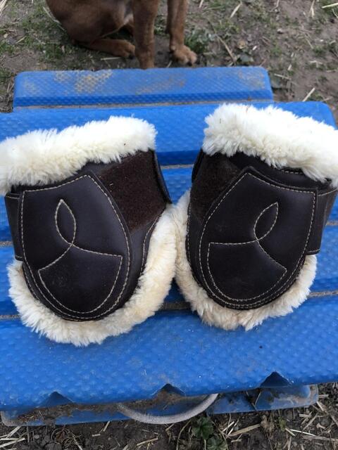 protections cuir Kentucky