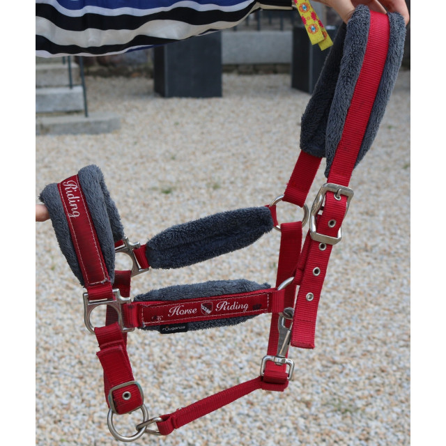 Licol Fouganza rouge + longe rouge originale