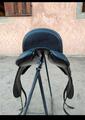 selle de Dressage Antares