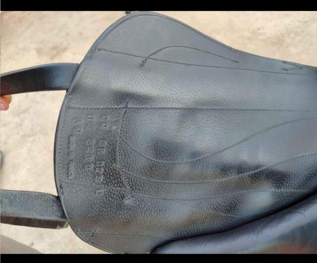 selle de Dressage Antares