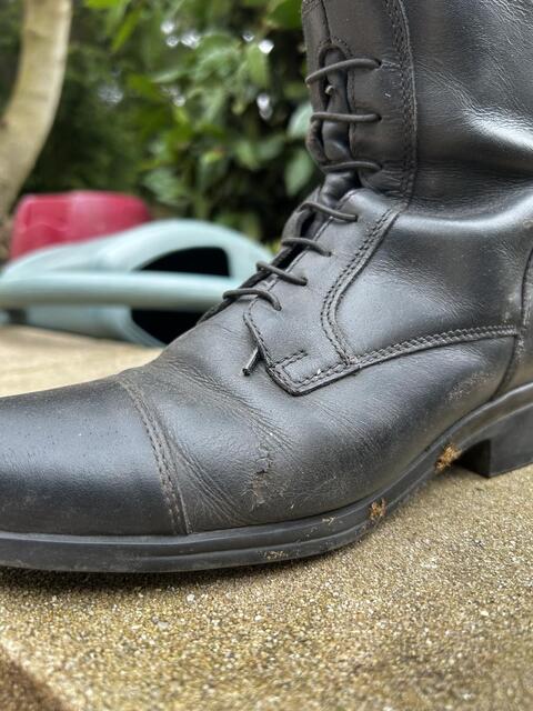 Bottes steed