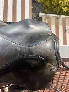 Selle orienté dressage
