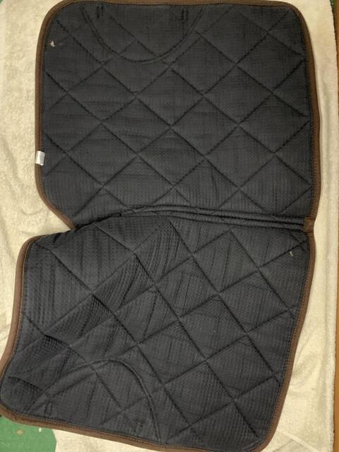 Tapis de dressage